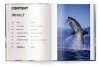 Big: A Photographic Album of the World's Largest Animals [English / German]