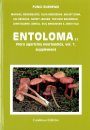 Fungi Europaei, Volume 5B: Entoloma s.l. / Flora Agaricina Neerlandica, Volume 1 (supplement) [English / Dutch / Italian]
