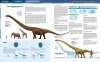 Récords y Curiosidades de los Dinosaurios: Saurópodos y Otros Sauropodomorfos [Encyclopedia of Dinosaurs: The Sauropods]