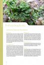 Mousses & Hépatiques de France: Manuel d'Identification des Espèces Communes [Mosses and Liverworts of France: Handbook to Common Species Identification]