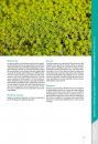 Mousses & Hépatiques de France: Manuel d'Identification des Espèces Communes [Mosses and Liverworts of France: Handbook to Common Species Identification]