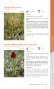 Guide Illustré de la Flore de Vanoise [Illustrated Guide to the Flora of Vanoise]