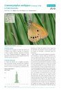 Atlas des Papillons de Jour d'Aquitaine [Atlas of Butterflies of Aquitaine]