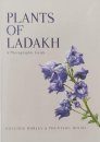 Plants of Ladakh