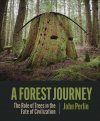 The Forest Journey