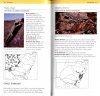 A Field Guide to Reptiles of New South Wales