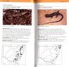 A Field Guide to Reptiles of New South Wales