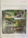 Carboniferous Stratigraphy and Index Fossils of China [Chinese]