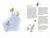 Zakgids Vogels van Nederland en België [Pocket Guide to the Birds of the Netherlands and Belgium]