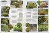 A Field Guide to Bryophytes
