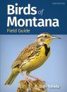Birds of Montana