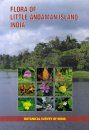 Flora of Little Andaman Island, India