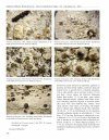 Flora of Lichenicolous Fungi, Volume 1: Basidiomycota