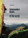 Salamanders & Newts of the World