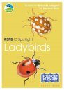 RSPB ID Spotlight: Ladybirds