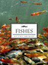 Fishes of the Smokies