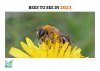 Bees to See in 2023