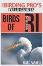 Birds of Rhode Island