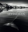 Seeking Leviathan