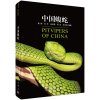 Pitvipers of China [Chinese]
