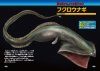 Zukai dai Jiten Shinkai Seibutsu [Illustrated Encyclopedia Deep Sea Creatures]