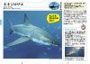 Sekai no Same Daizukan [World Shark Encyclopedia]