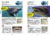 Sekai no Same Daizukan [World Shark Encyclopedia]