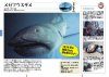 Sekai no Same Daizukan [World Shark Encyclopedia]
