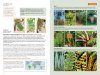 The Kew Temperate Plant Families Identification Handbook