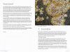 Veldgids Korstmossen [Field Guide to Lichens]