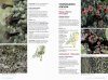 Veldgids Korstmossen [Field Guide to Lichens]