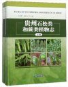 Flora of Lycophytes and Ferns of Guizhou (2-Volume Set) [English / Chinese]