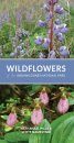 Wildflowers of the Indiana Dunes National Park