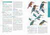 HKBWS Field Guide to the Birds of Hong Kong and South China [English / Chinese]