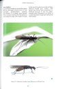 British and Irish Stoneflies (Plecoptera)
