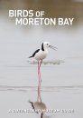 Birds of Moreton Bay