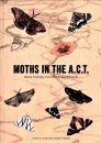 Moths in the A.C.T.
