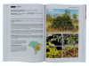 Flora do Brasil em Imagens, Volume 2 [The Flora of Brazil in Images, Volume 2]