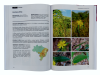 Flora do Brasil em Imagens, Volume 2 [The Flora of Brazil in Images, Volume 2]