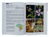 Flora do Brasil em Imagens, Volume 2 [The Flora of Brazil in Images, Volume 2]