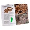 Serpientes De La Argentina: Guía Completa [Snakes of Argentina: Complete Guide]