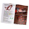 Serpientes De La Argentina: Guía Completa [Snakes of Argentina: Complete Guide]