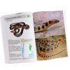 Serpientes De La Argentina: Guía Completa [Snakes of Argentina: Complete Guide]