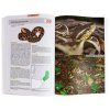 Serpientes De La Argentina: Guía Completa [Snakes of Argentina: Complete Guide]