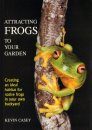 Attracting Frogs to Your Garden