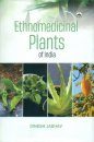 Ethnomedicinal Plants of India