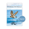 Storm-Petrels