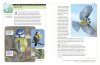 An Identification Guide to Garden Birds of Britain and North-West Europe