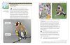 An Identification Guide to Garden Birds of Britain and North-West Europe