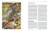 Handbook of Amphibians and Reptiles of North-East Africa